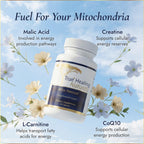 True Healing Naturals Mito Rescue Mitochondrial Support - 60 Vegetarian Capsules - image 3