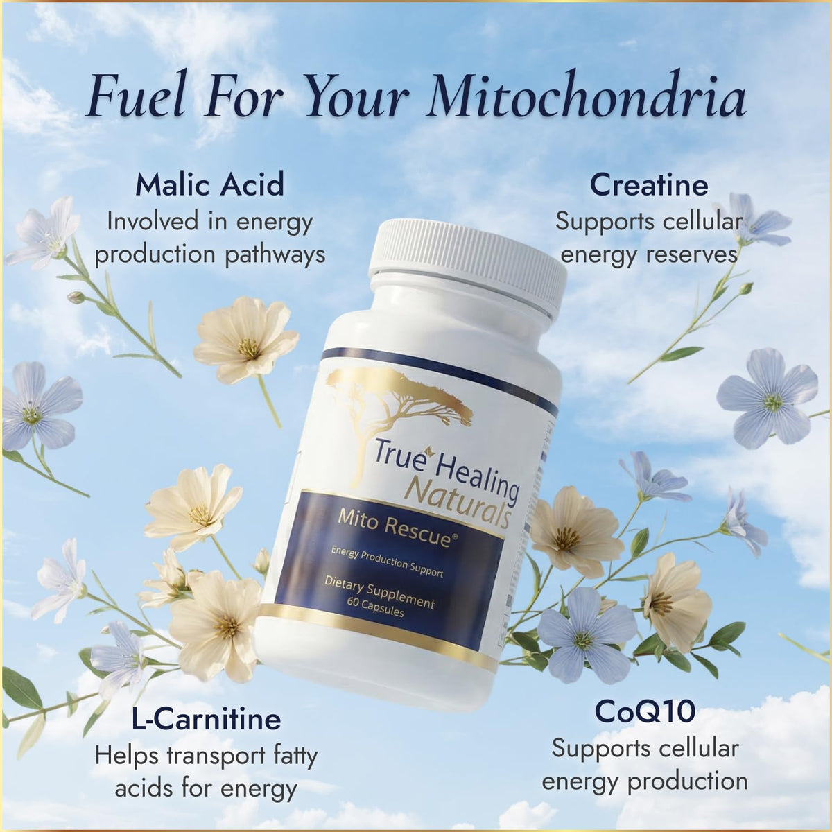 True Healing Naturals Mito Rescue Mitochondrial Support - 60 Vegetarian Capsules - image 3
