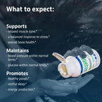 Jigsaw Health MagSRT Magnesium Supplement - 60 Tablets - image 3