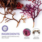 BocaHeal Purple Sea Moss + Bladderwrack Capsules - 60 Count - image 3