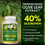 Olivus OliveLeafMAX Olive Leaf Extract (40% Oleuroepin) + Organic - image 10