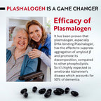 REMORY Plasmalogen Sea Squirt Brain Health Supplement - 30 Capsules - image 8