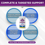 Vital Planet Intense Care Brain & Mood Probiotics - 30 Capsules - image 3
