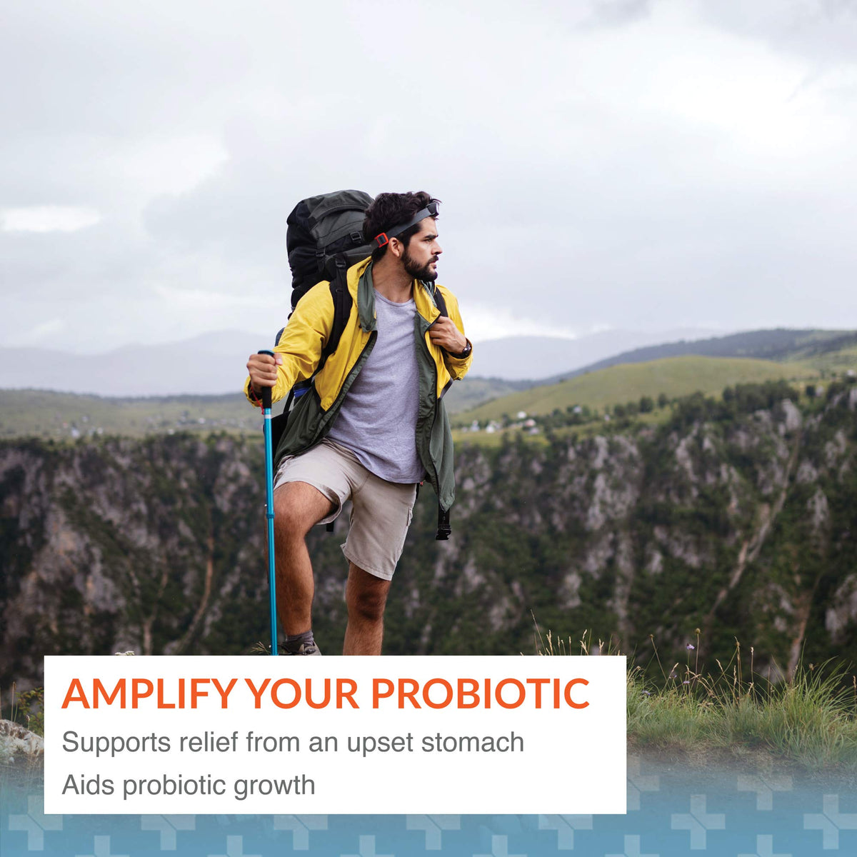 Arthur Andrew Medical Floraphage, Bacteriophage Prebiotic, Capsules
