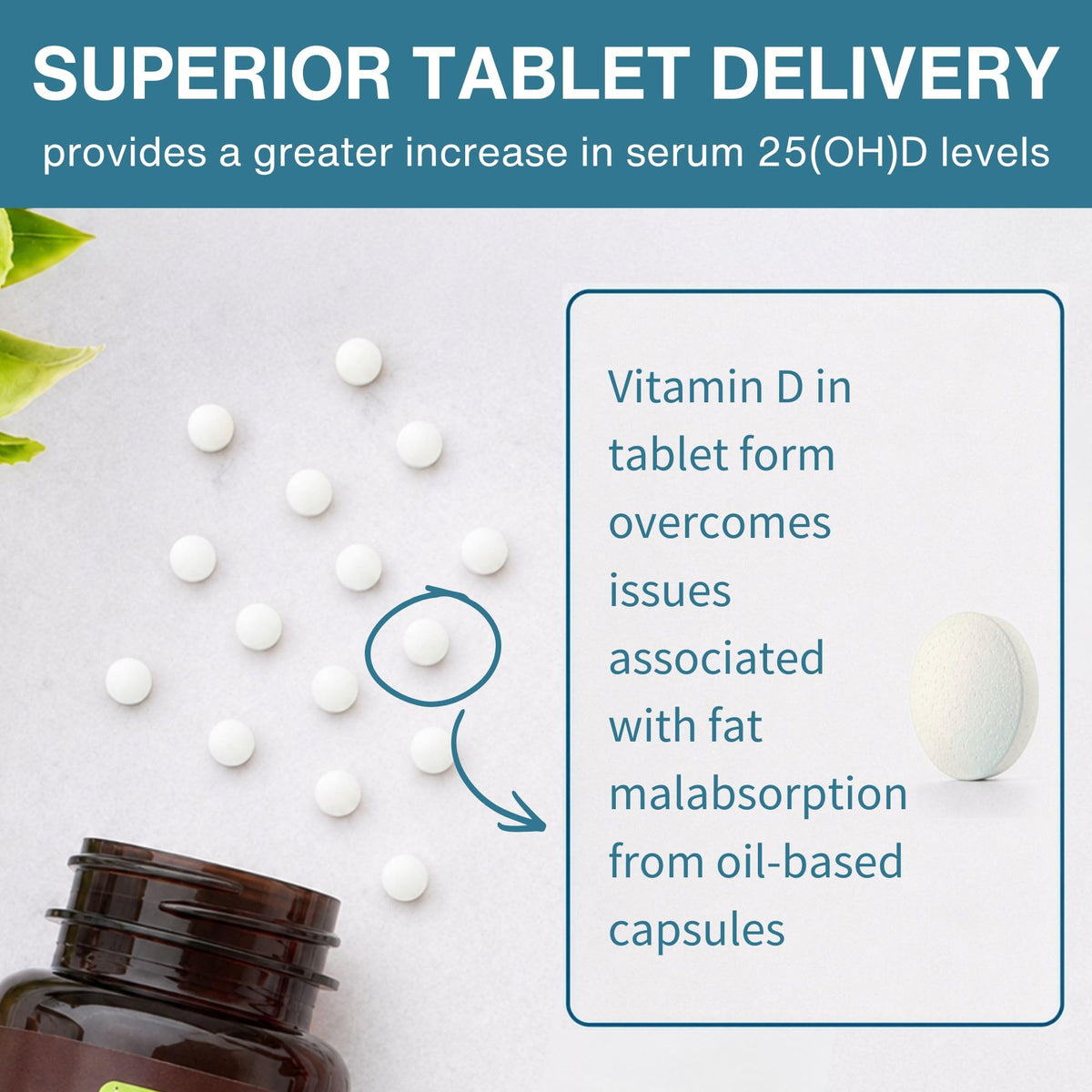 Igennus Natural Vegan Vitamin D3 1000 IU - 365 Tablets - image 5