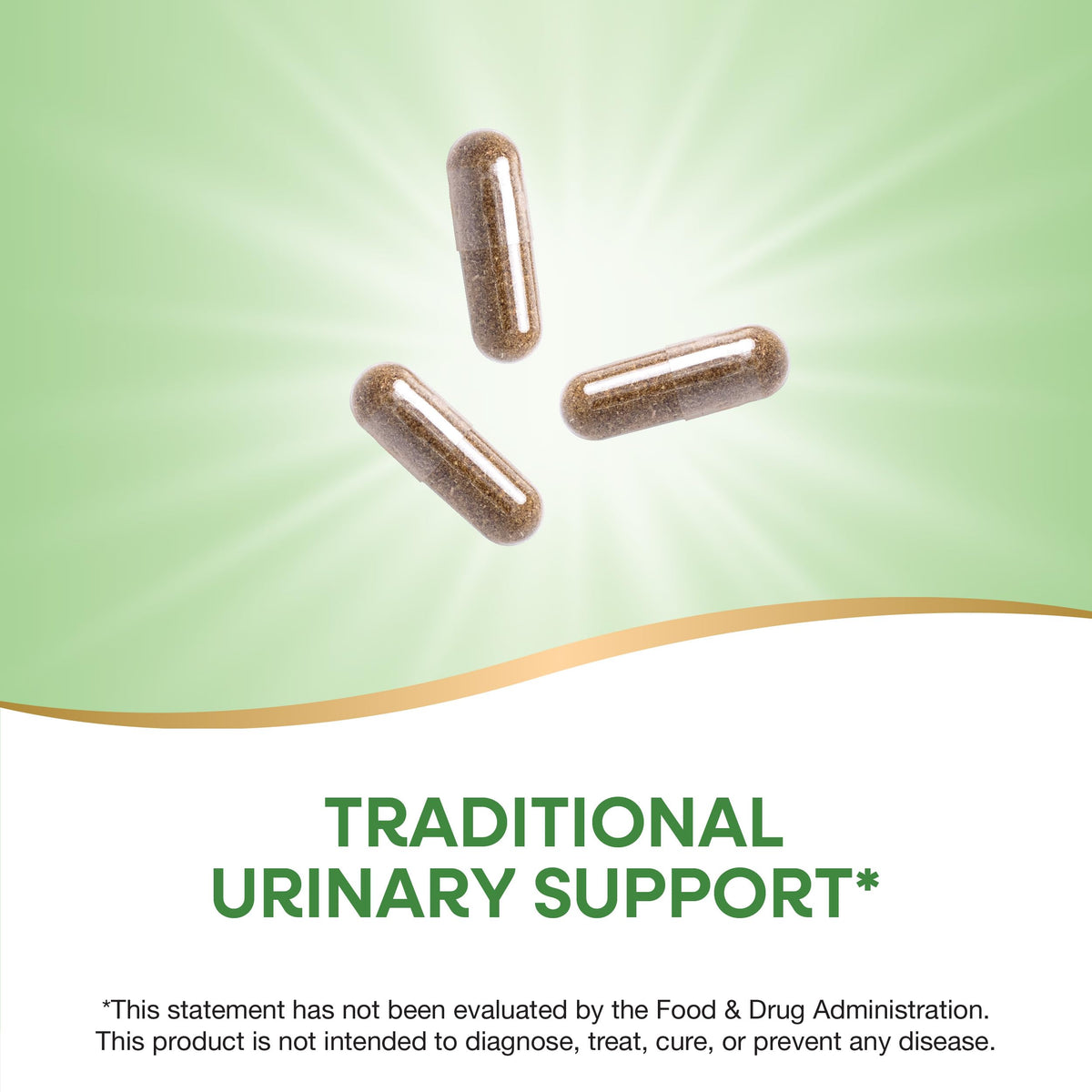 Nature's Way Uva Ursi Leaves Herbal Capsules - 1110 mg - 200 Count - image 4