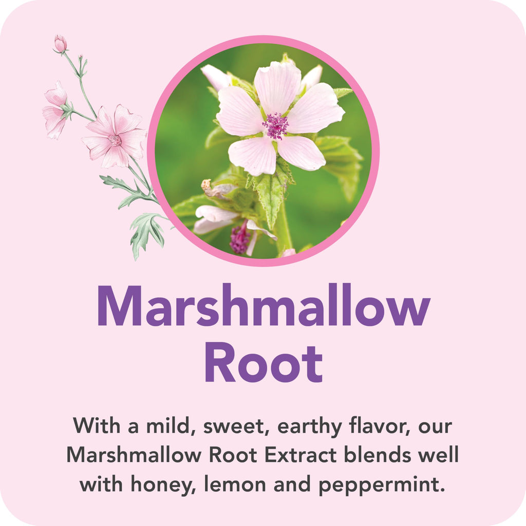 Botanic Choice Marshmallow Root Liquid Extract - 1 Fl Oz - image 4