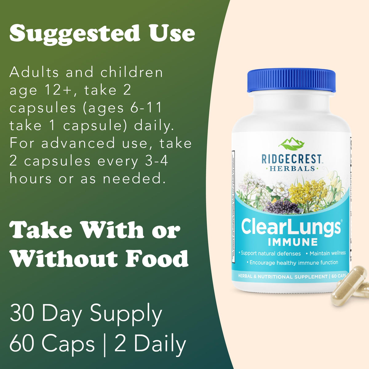 RidgeCrest Herbals ClearLungs Immune Mullein & Elderberry - 60 Capsules - image 4