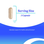 Seeking Health Adrenal Cortex 50 mg - 60 Capsules - image 3