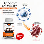 Sigmaceutical Super Antioxidant Capsules Superfruit Blend - 60 Count - image 3