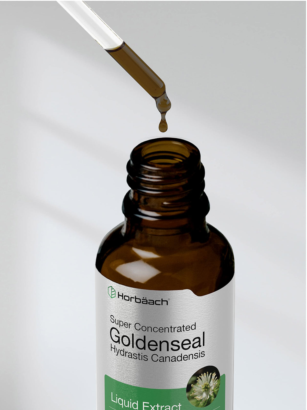 Horbäach Goldenseal Root Tincture Liquid Extract - 1 fl oz - image 7