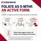 Kirkman Advanced Adult Multivitamin & Mineral with 5-MTHF - 180 Capsules - image 3