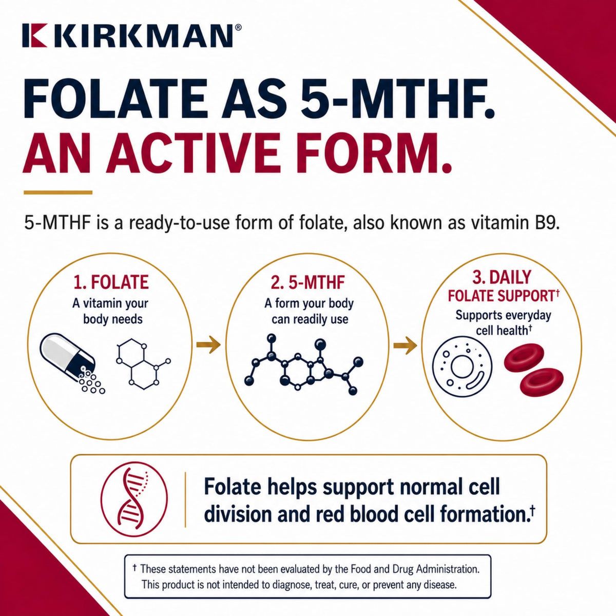 Kirkman Advanced Adult Multivitamin & Mineral with 5-MTHF - 180 Capsules - image 3