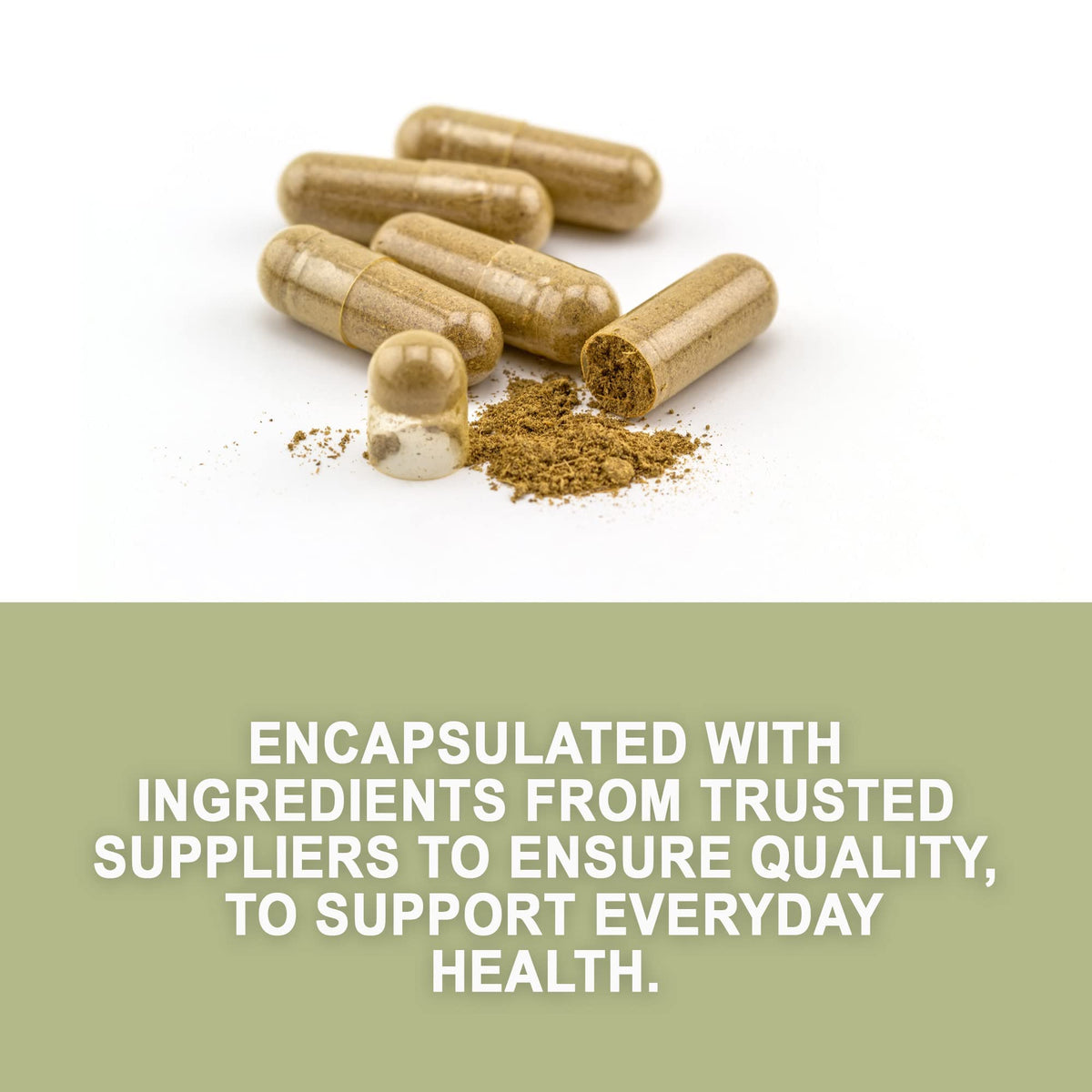 Evergreen Herbs Pasiflora Passion Flower - 90 Capsules - image 3