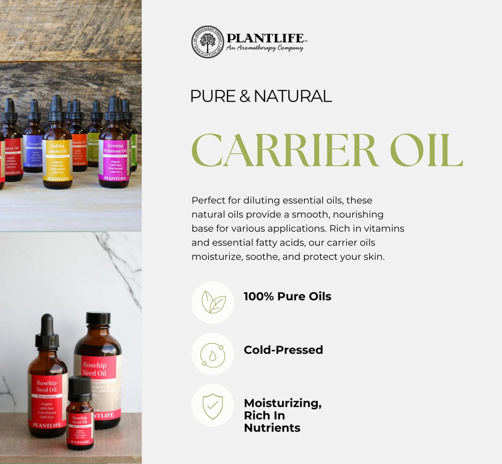 Plantlife Evening Primrose Carrier Oil, 100% Pure - 4 oz - image 2