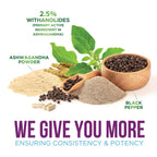 Nature's Strength Ashwagandha Supplements 1100mg - High-Absorption