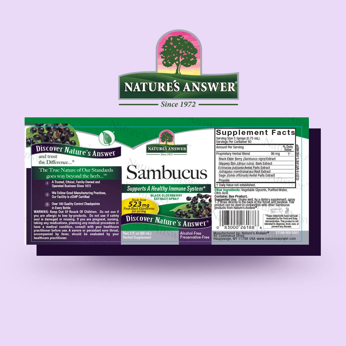 Nature's Answer Sambucus Immune Support Spray - 2 Fl Oz - image 2