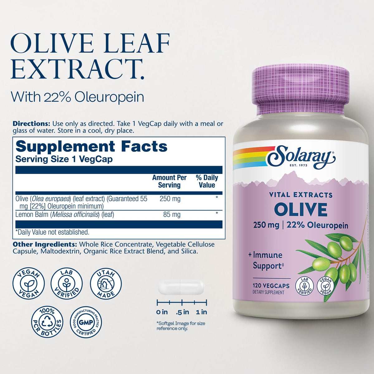 SOLARAY Olive Leaf Extract 250mg Wellness Support - 120 Vegetarian Capsules - image 2