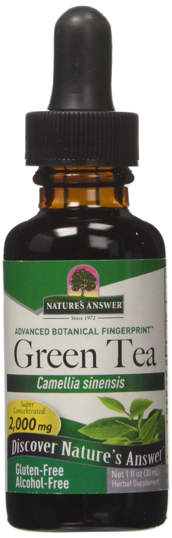 Nature's Answer Alcohol-Free Green Tea Leaf Extract - 1 Fl Oz