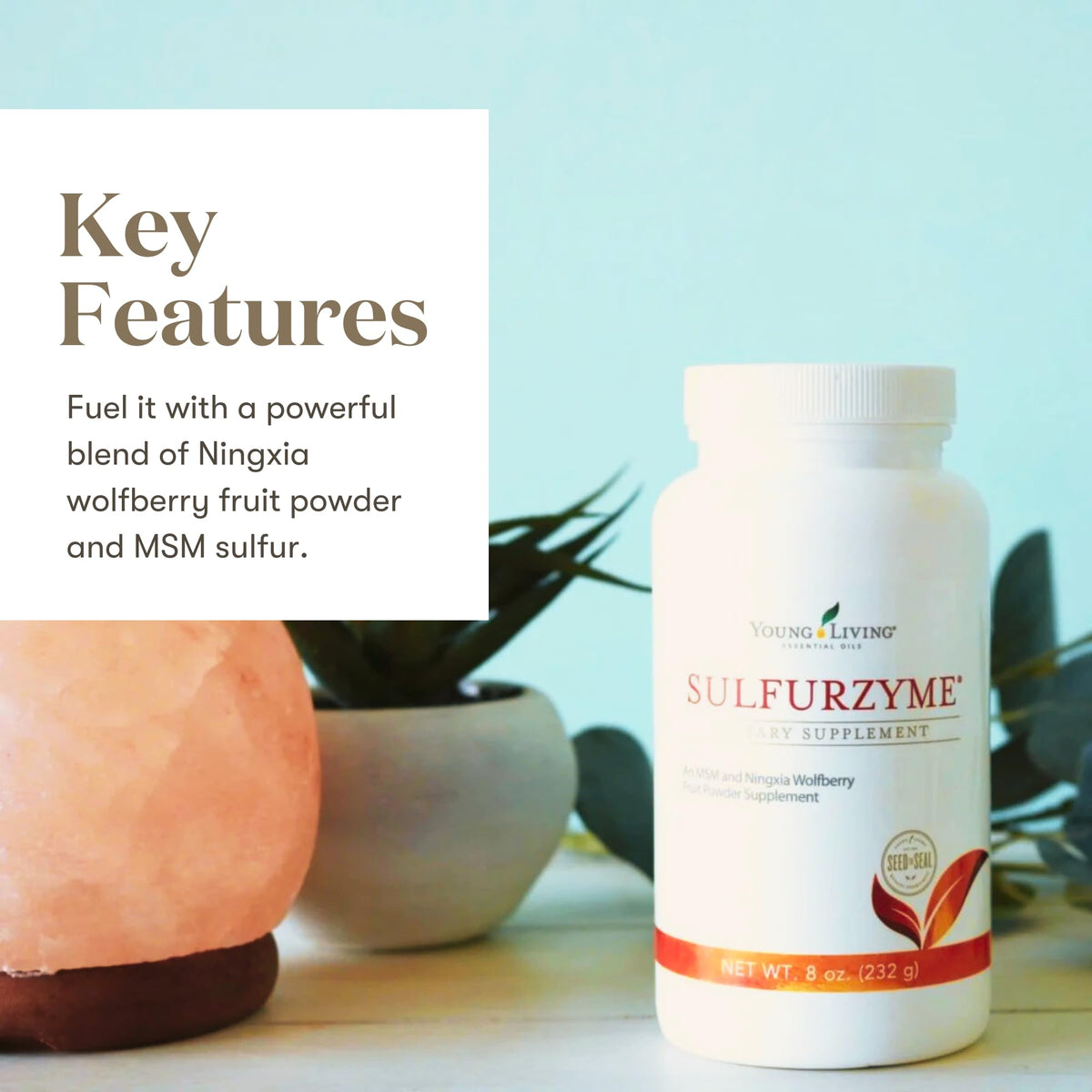 Young Living Sulfurzyme Powder Joint Support - 8 oz - image 2