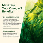 VEETAGYO Vegan Omega-3 1200mg Gummies - 60 Count - image 6