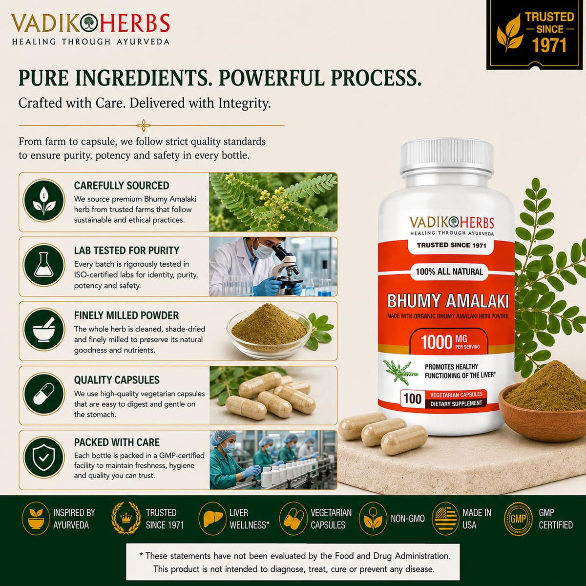 Vadik Herbs Organic Bhumy Amalaki Liver Support - 100 Capsules - image 9