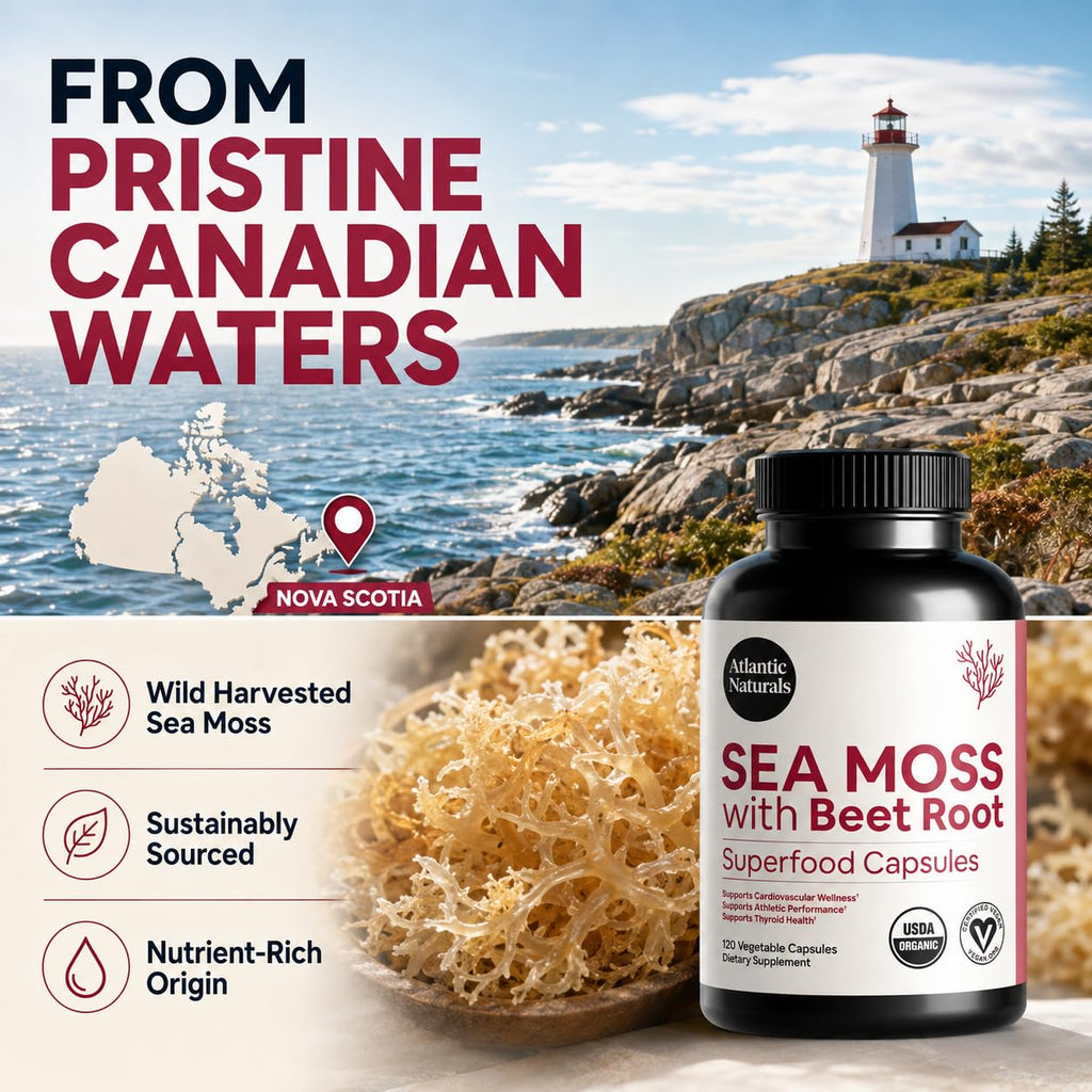 Atlantic Naturals Sea Moss Dietary Supplement - 120 Count Vegetable