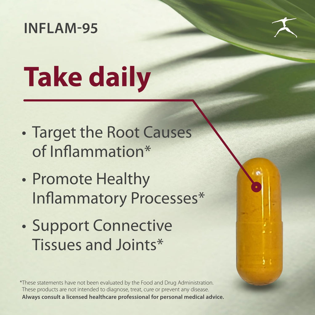 BIOSPEC NUTRITIONALS Inflam-95 - Ginger Root Extract 2