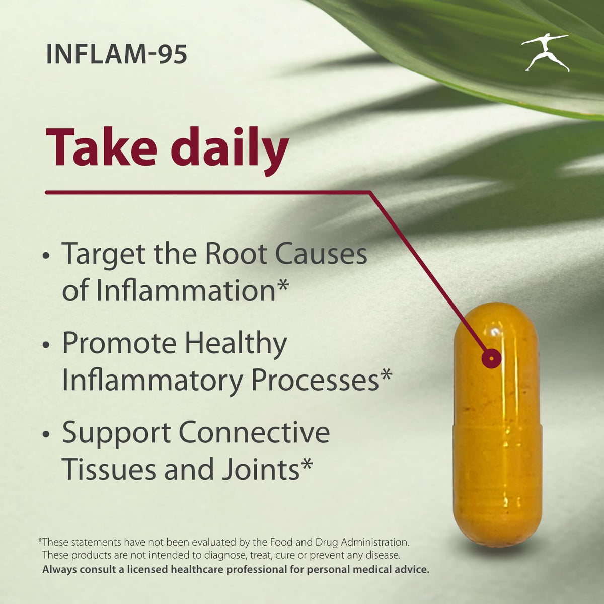 BIOSPEC NUTRITIONALS Inflam-95 - Ginger Root Extract 2