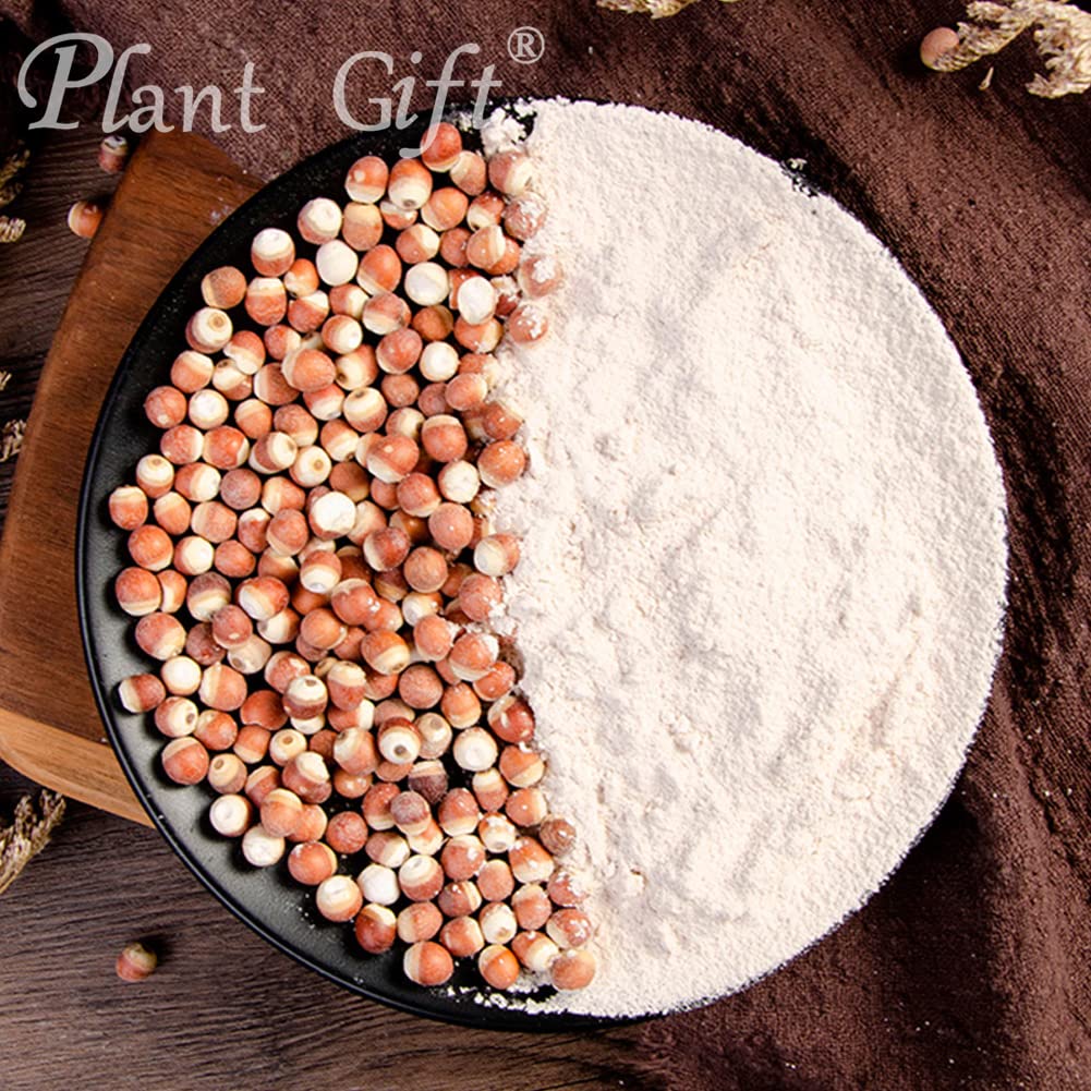 Plant Gift 100% Pure Euryales Powder - 100g - image 4