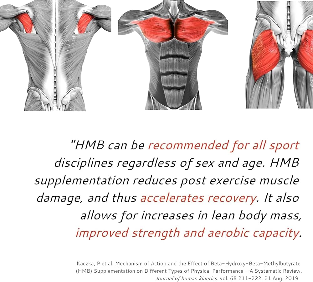 Generic Senta HMB Supplement 1000mg Muscle Growth & Recovery - 90 Capsules - image 3