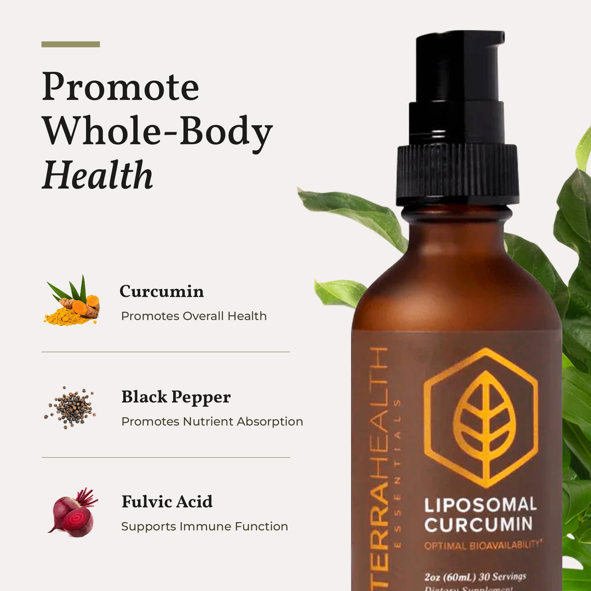 Terra Health Essentials Liposomal Curcumin Liquid for Joint Support - 2 fl oz - image 6