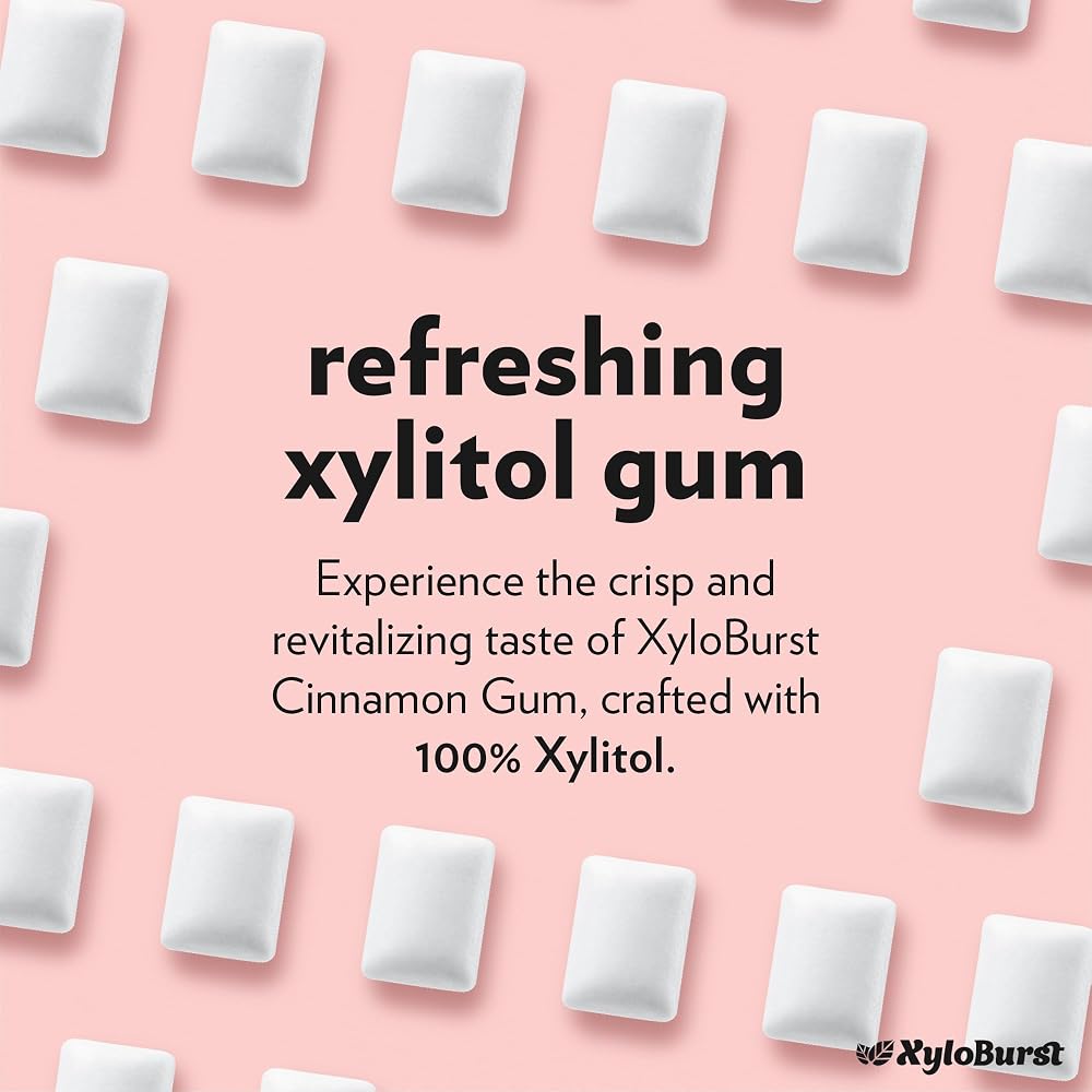 Xyloburst Cinnamon Xylitol Chewing Gum - 192 Pieces - image 3