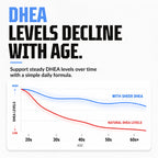 Sheer Strength Labs DHEA 100mg Supplement - 60 Capsules - image 6