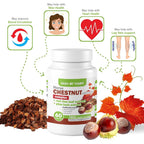 Dash of Vigor 12-in-1 Horse Chestnut Extract Complex - 60 Capsules - image 4