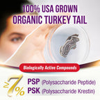 LABO Nutrition Bioactive Turkey Tail 7in1 Mushroom Extract - 90 Capsules - image 2