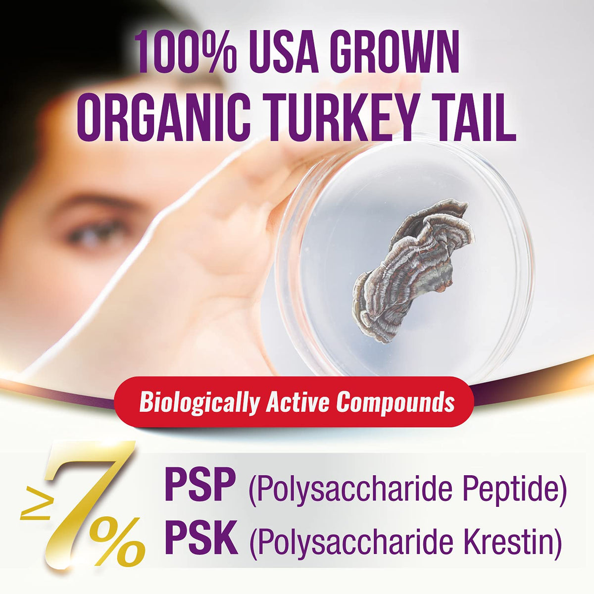 LABO Nutrition Bioactive Turkey Tail 7in1 Mushroom Extract - 90 Capsules - image 2