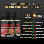 BMVINVOL Berberine Capsules with Ceylon Cinnamon