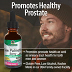 Nature's Answer Saw Palmetto Extract Liquid - 1 Fl Oz - image 3