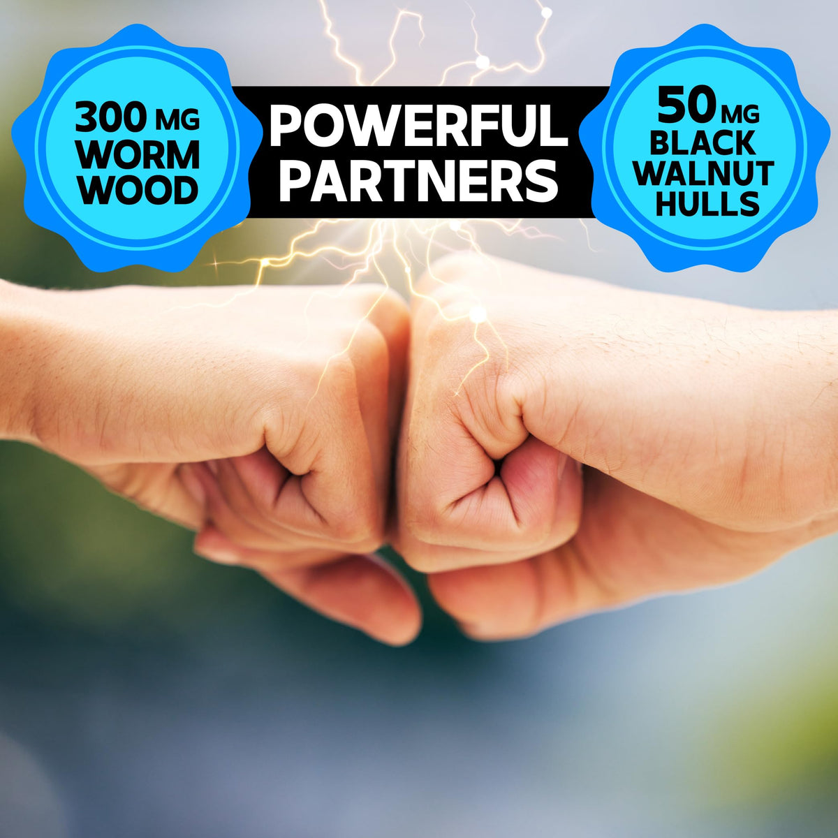 DEDICAD Wormwood Capsules - Digestive, Immune, and Mood Support