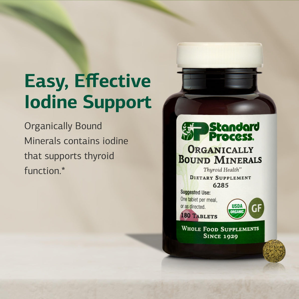 Standard Process Organically Bound Minerals Iodine - 180 Tablets - image 3