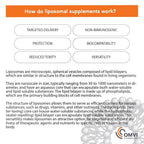 Omvi Liposomal Glutathione 500mg Antioxidant - 60 Capsules - image 7
