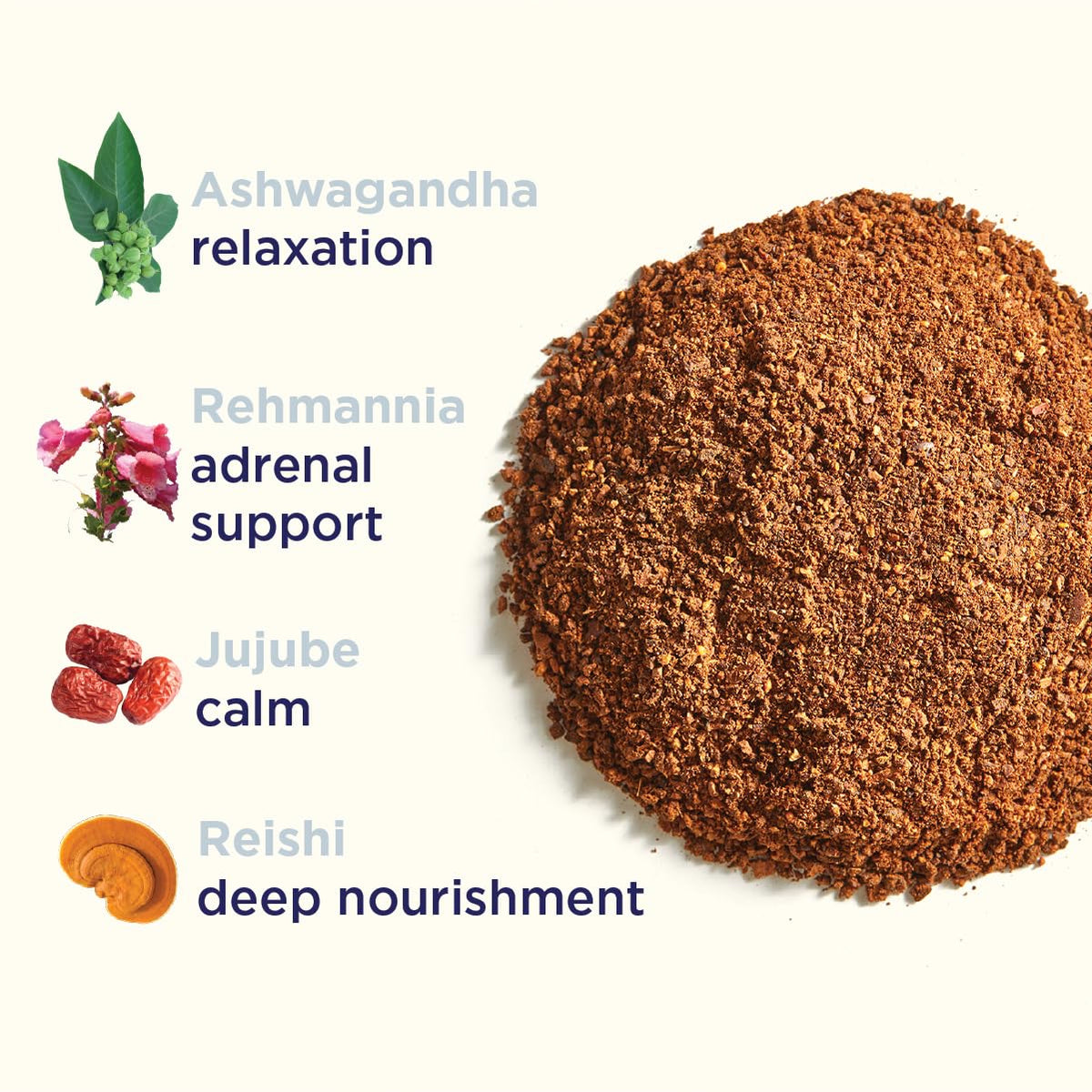 Rasa Koffee Calm Adaptogenic Mushroom Sleep Tonic - 8 oz - image 3