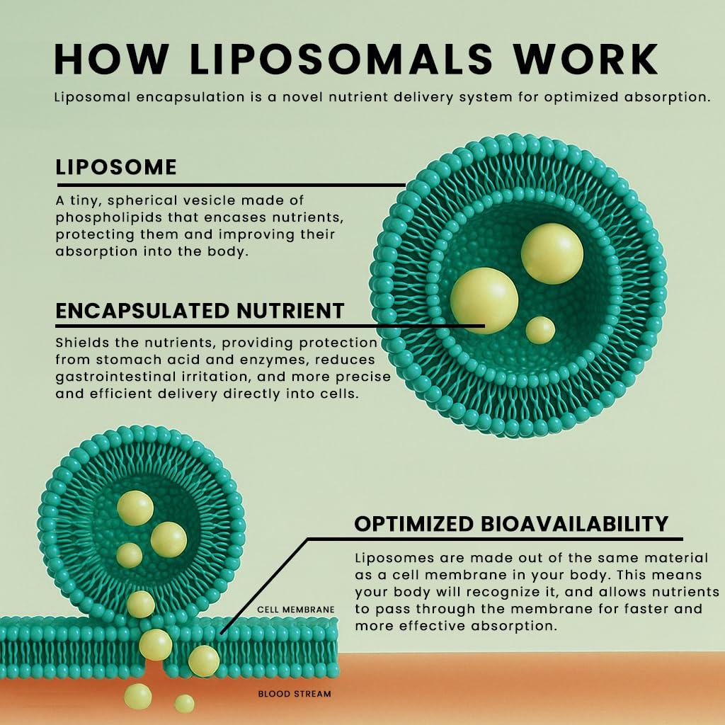 Manna Vitamins Evolved - Liposomal Blood Sugar Complex - Supports - image 4