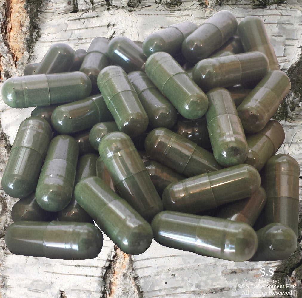 ChagaTeaShop Siberian Chaga Extract Vegetarian Capsules - 120 Capsules - image 3