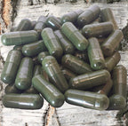 ChagaTeaShop Siberian Chaga Extract Vegetarian Capsules - 120 Capsules - image 3