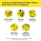 RESCUE REMEDY Dropper Flower Essence Stress Relief - 20 mL - image 7