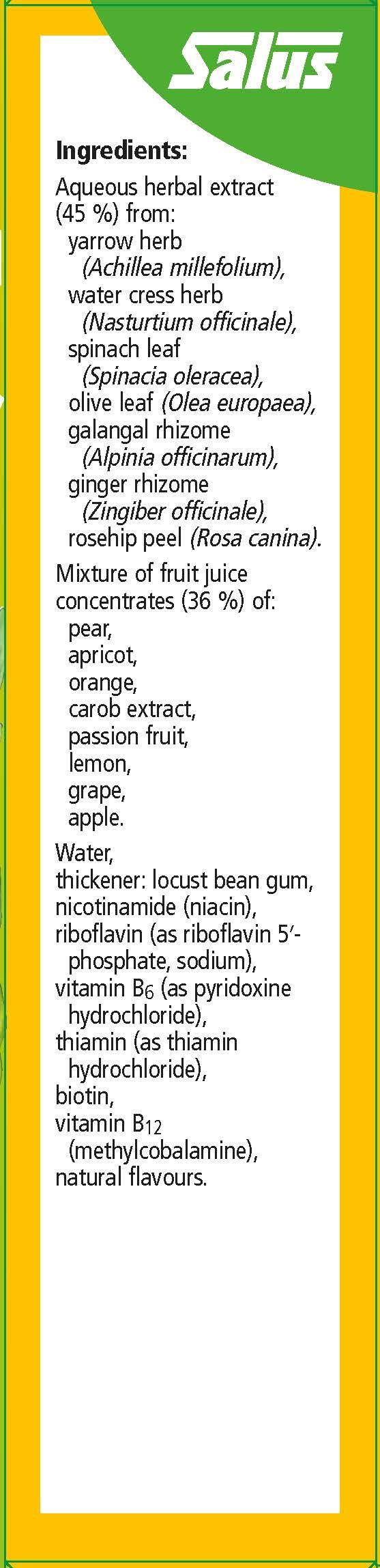 Floradix Vitamin B Complex Liquid Formula - 250 ml - image 8