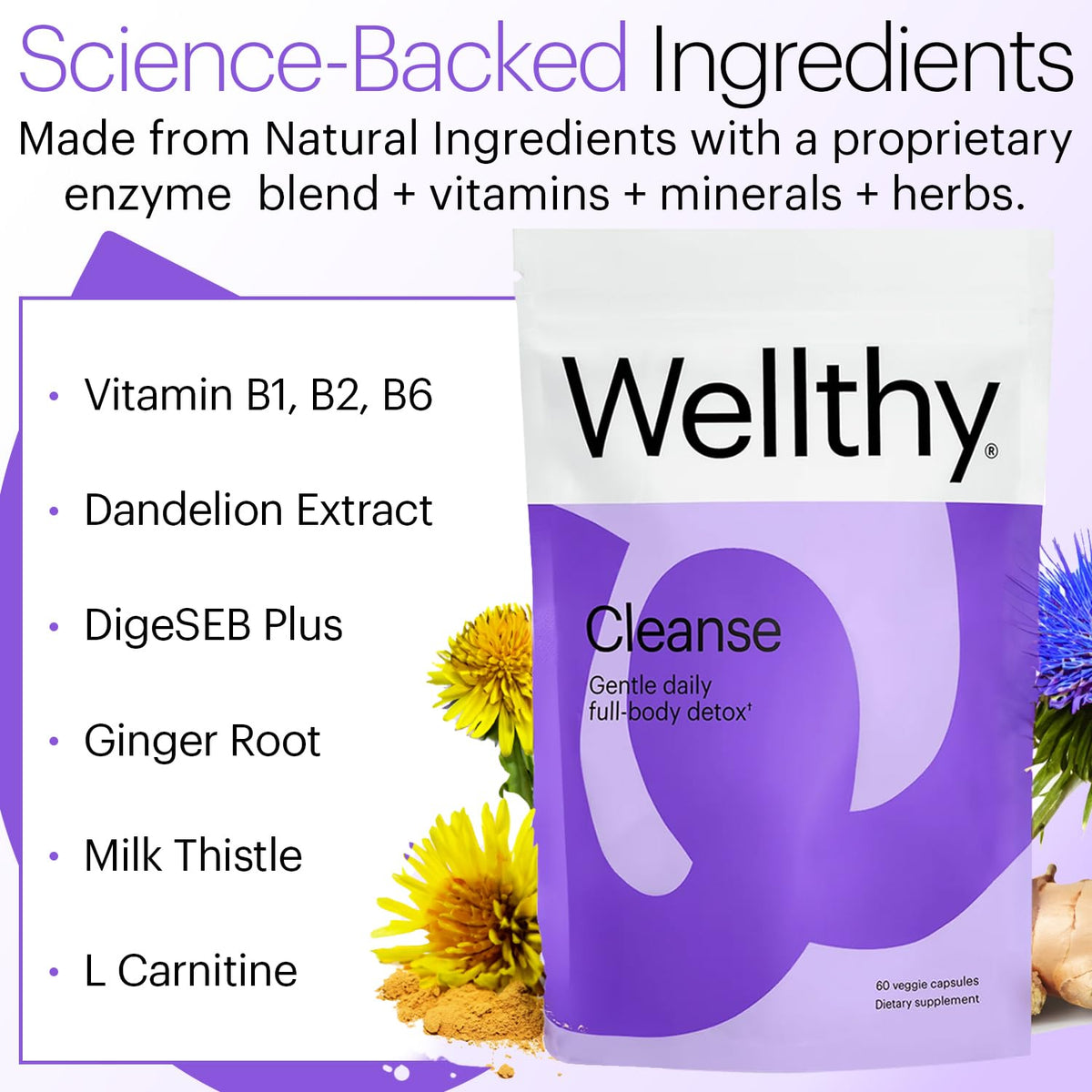Wellthy Gut Cleanse Detox & Immune Support - 60 Capsules - image 3
