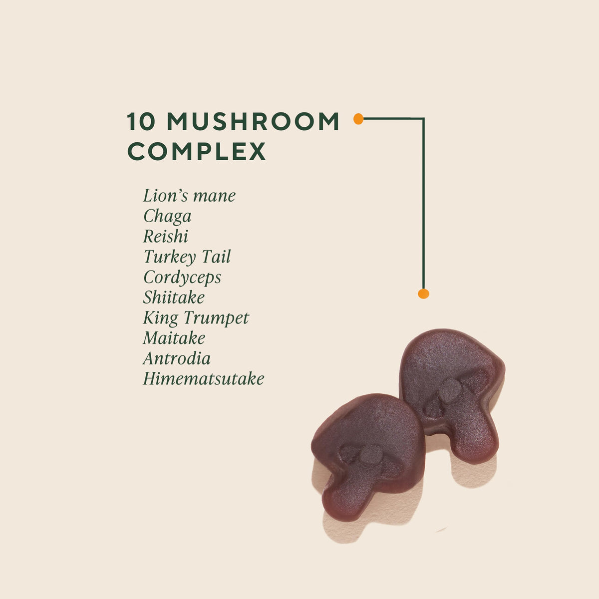 OM MUSHROOM SUPERFOOD Mushroom Gummies
